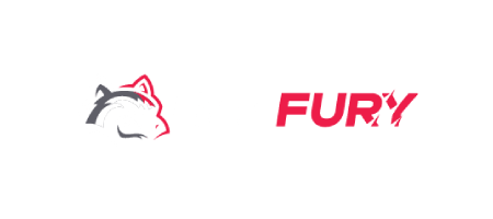 BetFury logo